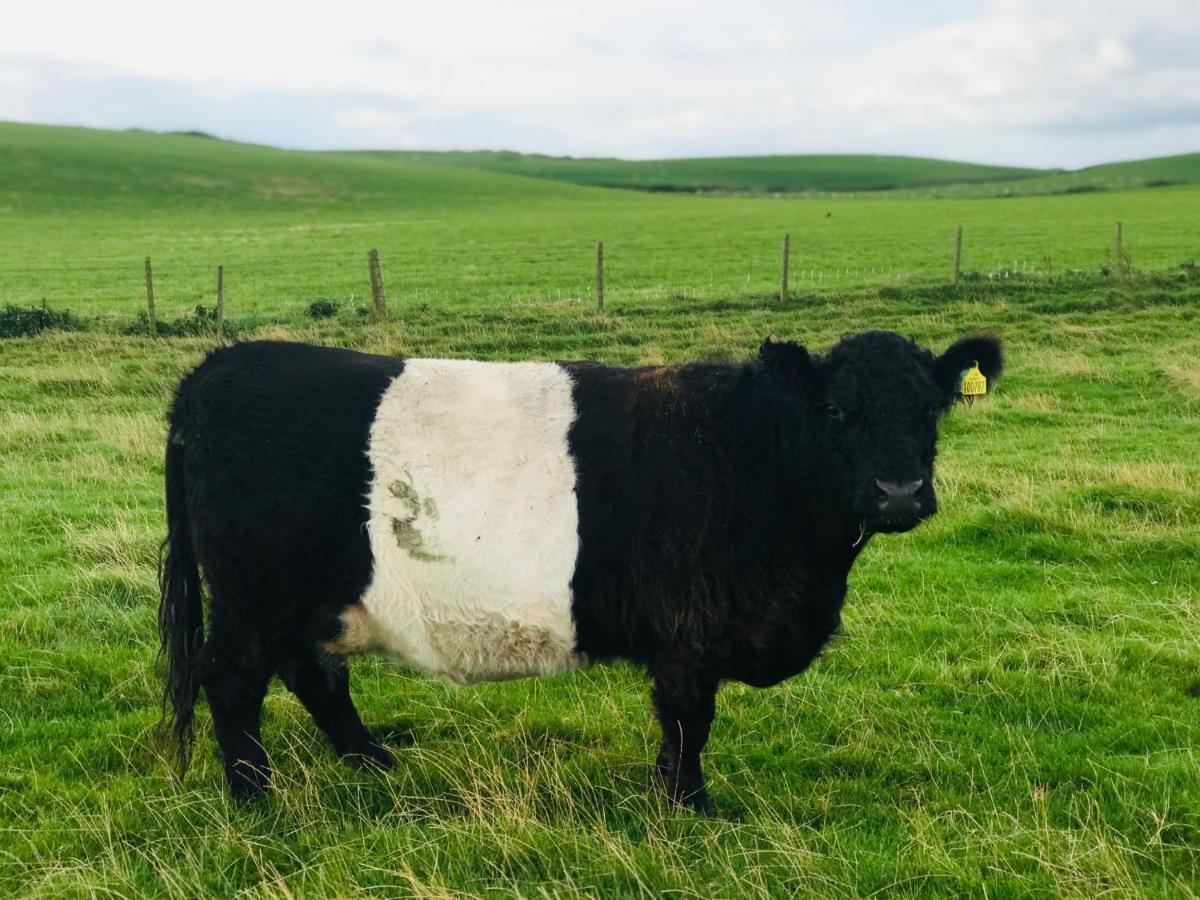 Bunnahabhain 5 - Farm Stay - Stunning Sea And Rural Views Stranraer Εξωτερικό φωτογραφία