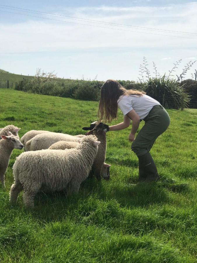 Bunnahabhain 5 - Farm Stay - Stunning Sea And Rural Views Stranraer Εξωτερικό φωτογραφία