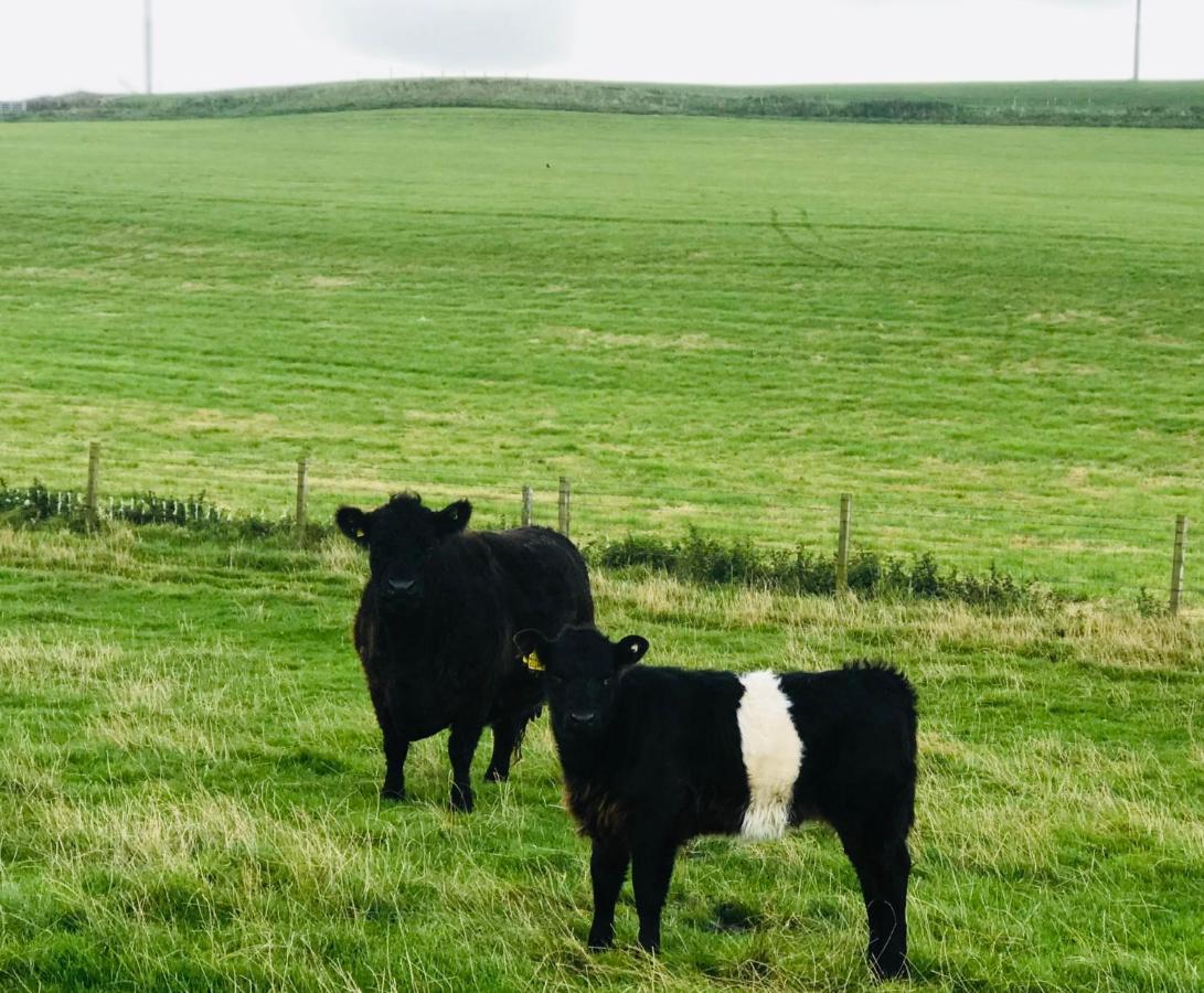 Bunnahabhain 5 - Farm Stay - Stunning Sea And Rural Views Stranraer Εξωτερικό φωτογραφία