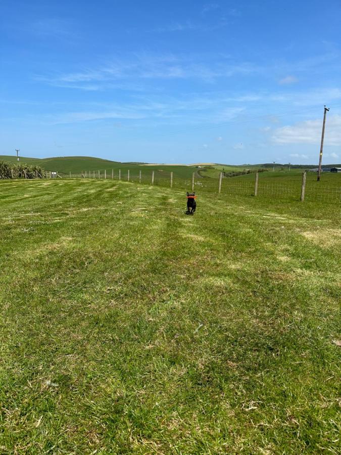 Bunnahabhain 5 - Farm Stay - Stunning Sea And Rural Views Stranraer Εξωτερικό φωτογραφία